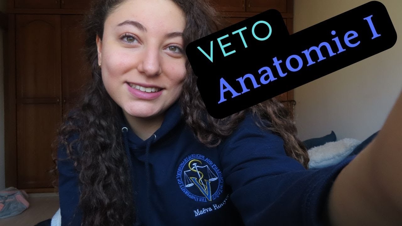 1ère année en école vétérinaire: Anatomie I