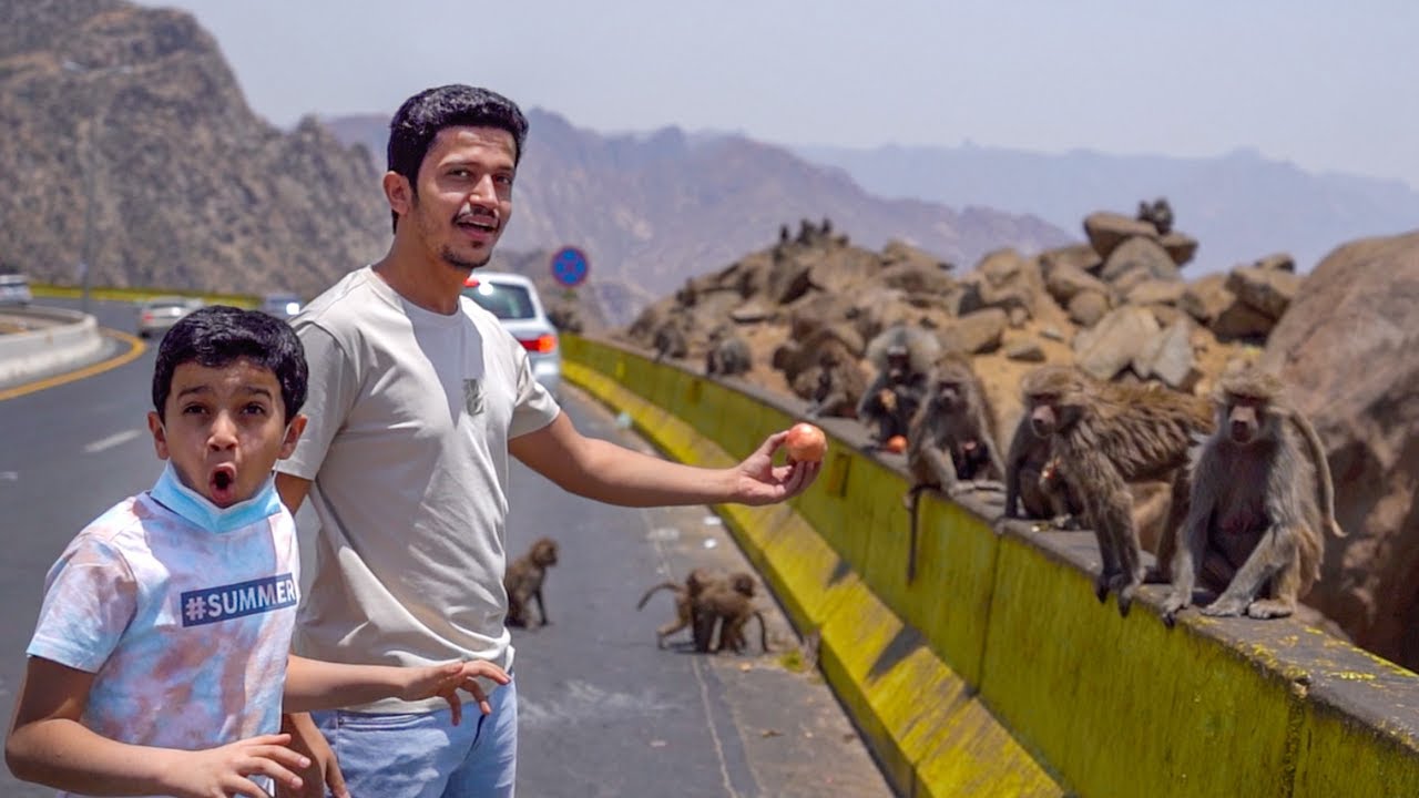 سفرتنا إلى الطائف ✈️ القرد فصل علينا🤣