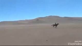 :  