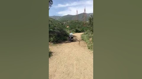 BOB DUALLIE REVIEW 2015