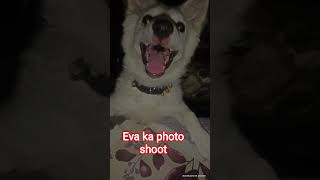 #funny #free #comedy #ff #ff #memes #viralvideos #trending