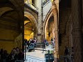 London Natural History Museum #viralvideo #travel #london #fypシ゚viral