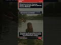 World Headlines | Daily Briefing - Today | Global News Digest