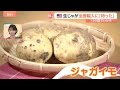 「日本農業が脅かされるリスクも」アメリカ産の生ジャガイモ全面輸入解禁へ高まる警戒感【Nスタ解説】｜TBS NEWS DIG