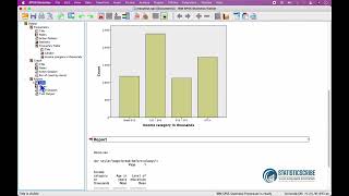 IBM SPSS Statistics Viewer Windows Explained_Statisticscribe