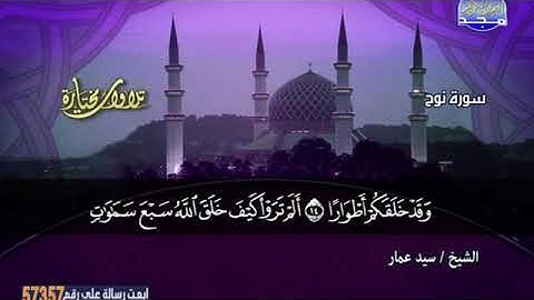 سيد عمار ــــــ سورة نوح
