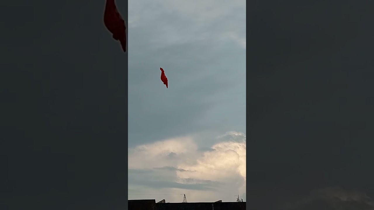 FLYING DINOSAUR BALLOONS INPART3.