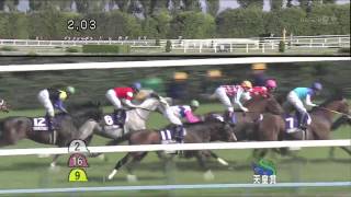 フェノーメノ】11戦目 2013 天皇賞（春）（1着） - YouTube