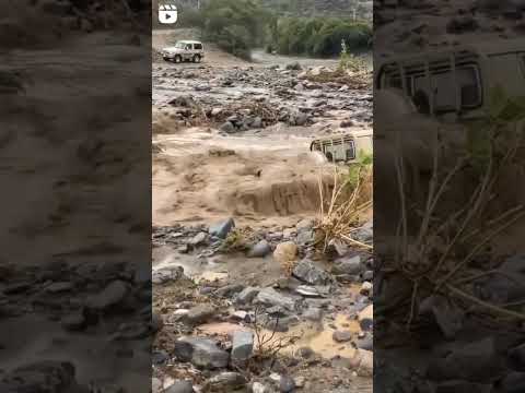 وانا من رجال لا سرت علا العدو سارت تصميمي عبدالمجيد عبدالله 