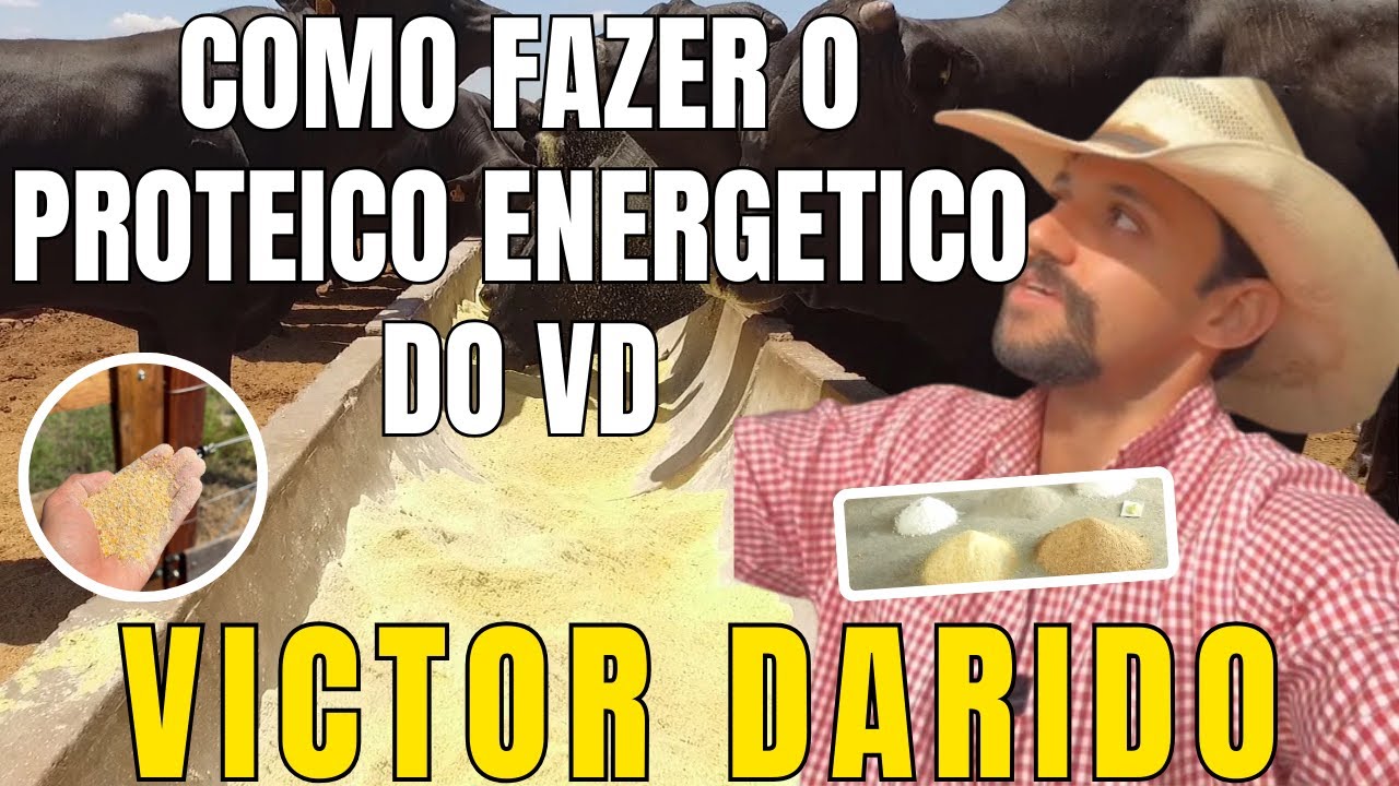 PASSO A PASSO COMO FAZER O PROTEICO ENERGÉTICO DO VD. VICTOR DARIDO #victordarido #pecuaria