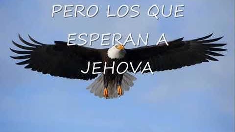 como las aguilas sus alas levantaran