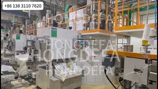 Celebrity Fully Automatic Packing Line with Robotic Palletizer | Smart & Efficient Factory Solution Wealth
