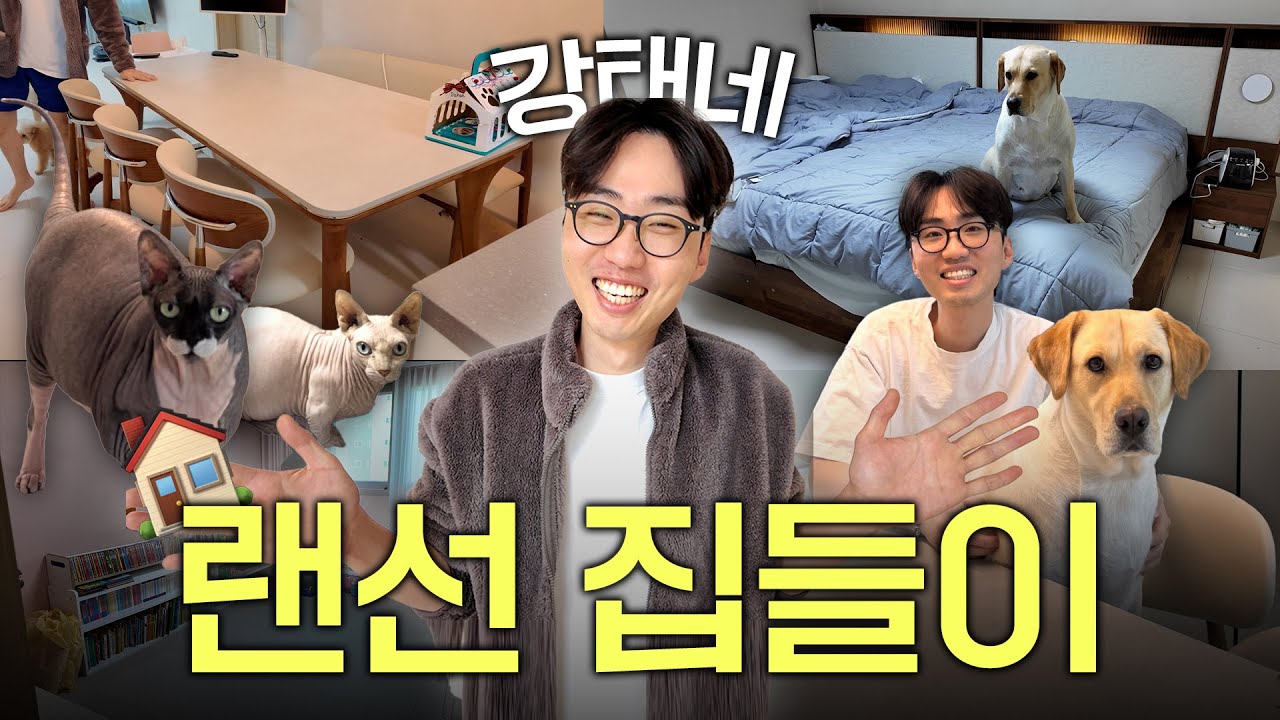 내연견 다다와 강태 신혼 랜선 집들이