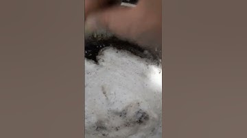 Buah Maja yg ternyata tidak pahit