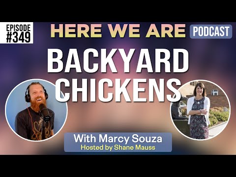 Backyard Chickens | Here We Are Podcast Ep. 349 w/Marcy Souza | Hosted by Shane Mauss