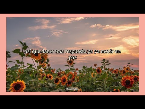 Darviin - Ojos de girasol [letra] 🌸