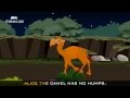 Edewcate english rhymes - Alice the camel has five humps