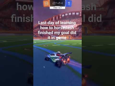 horsedash 👍👍