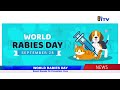 WORLD RABIES DAY: Expert Speaks On Prevention, Cure