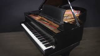 Steinway Model O 510 Grand Piano Restored (#164663)