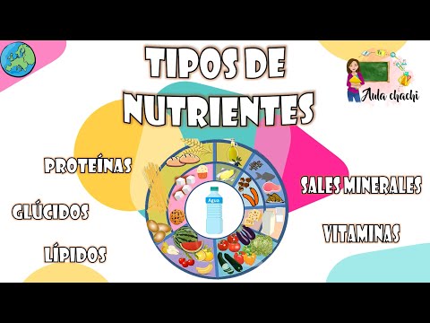 Tipos de Nutrientes | Aula chachi - Vídeos educativos para niños