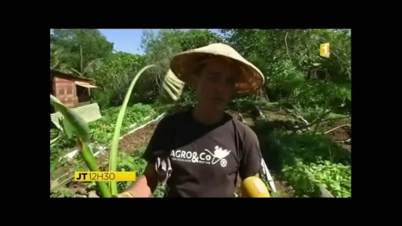 Permaculture urbaine au Tampon, La Réunion avec Luca Piccin - AGRO&Co