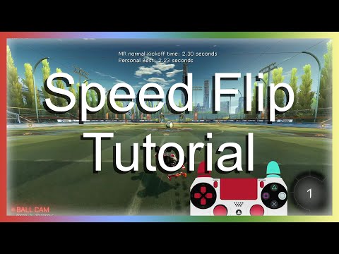 Tutorial 4