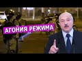 Лукашенко перешел к угрозам физической расправы. Leon Kremer # 117.