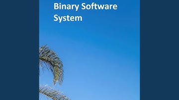 Binary Software System