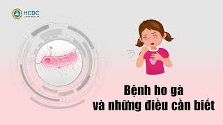 HCDC | Bệnh ho gà và những điều cần biết