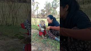 Fantastic Video Best Video Of Animals SokYaa , Phao And ToTo Are Harmony and Fun WILL MAKE YOU SMILE
