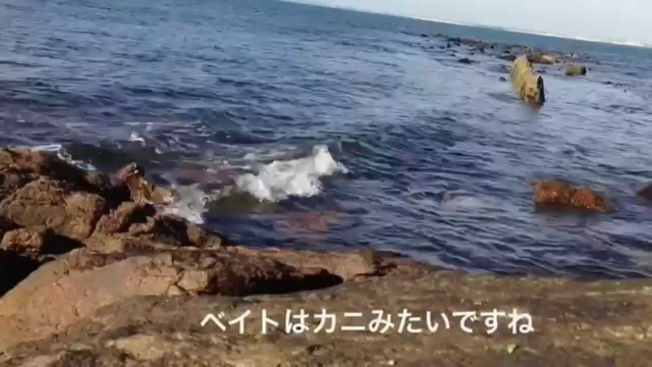 タケノコメバル釣行〔その1〕