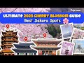 2025 Asia's ULTIMATE Cherry Blossom Bucket List 🌸 | Copy &amp; Go Itineraries for Japan, Korea &amp; China