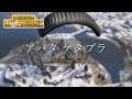 【PUBG】アバダ ケダブラ/Nekotage #1