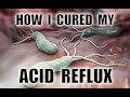 How I cured my Acid Reflux and Helicobacter Pylori infection (without antibiotics)