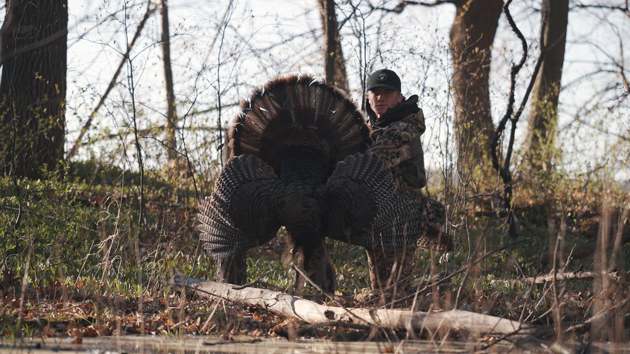 Hunting Loaded Turkey Woods Southern Minnesota Turkey Hunting 2024 YouTube