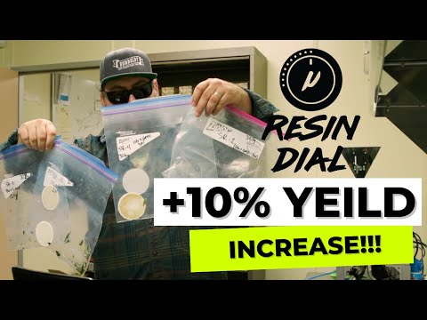 (+10% Yield Increase) Triploid vs Diploid Wash Test with the RESIN DIAL | Humboldt Seed Company