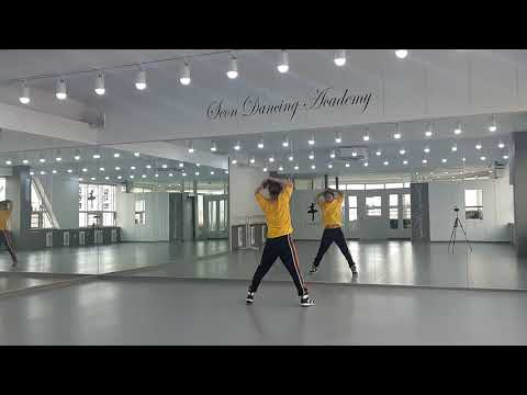 비너스(광주현대에어로빅협회)