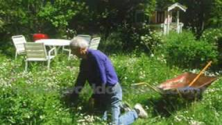 JOHNNY'S GARDEN ~ MANASSAS ~ Lyrics