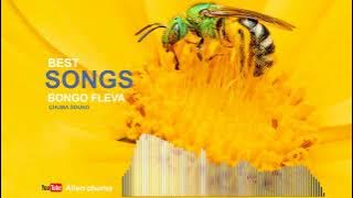 Chuma Sound  Sielewi Instrumental  Beat