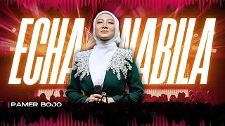 Download Lagu PAMER BOJO -  ECHA NABILA MP3