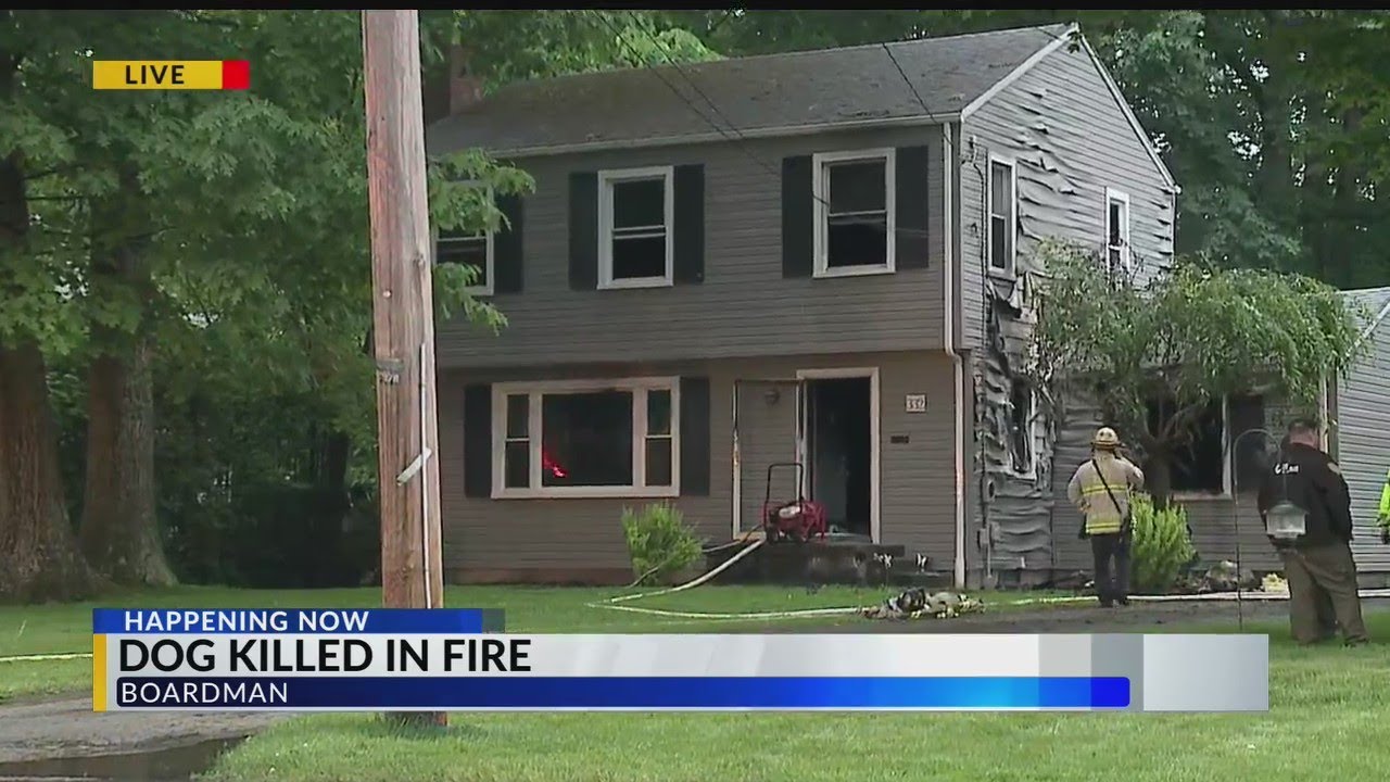Dog dies in Boardman house fire - YouTube