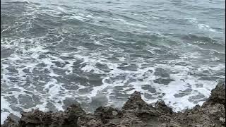 BUDI CILOK || RAPUH BERTAHAN || SEWAJARNYA