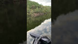 The Amazing Black Warrior River In Alabama