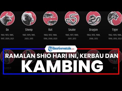 Ramalan Peruntungan Shio Kerbau dan Kambing Hari Ini Jumat 24 Februari 2023