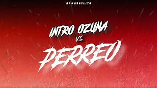 INTRO OZUNA VS PERREO - DJ Marcelito