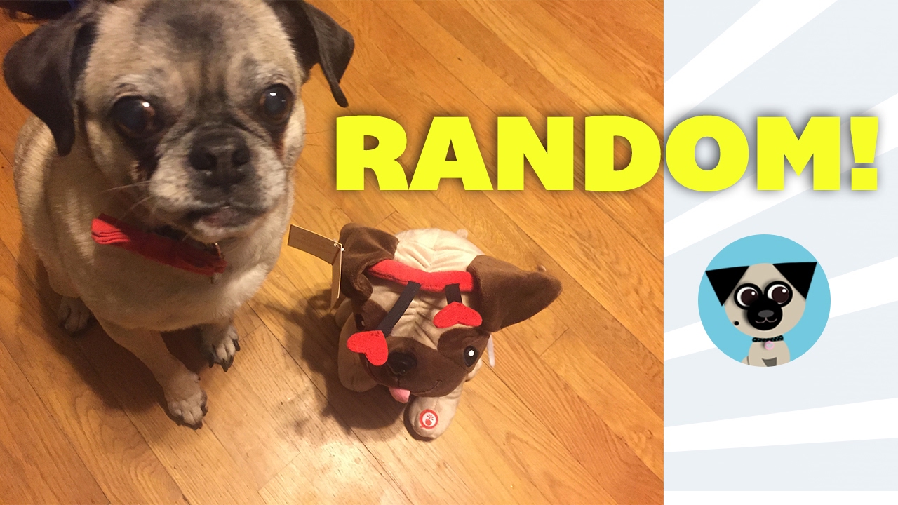 Random Vlog: Valentine's & Starbucks rants, Bear hoodie and Love Pugs!