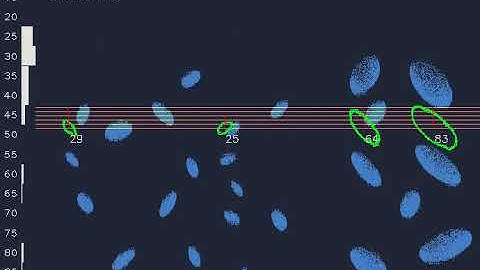 Metavision® Intelligence Ultra High Speed Particle Size Estimate