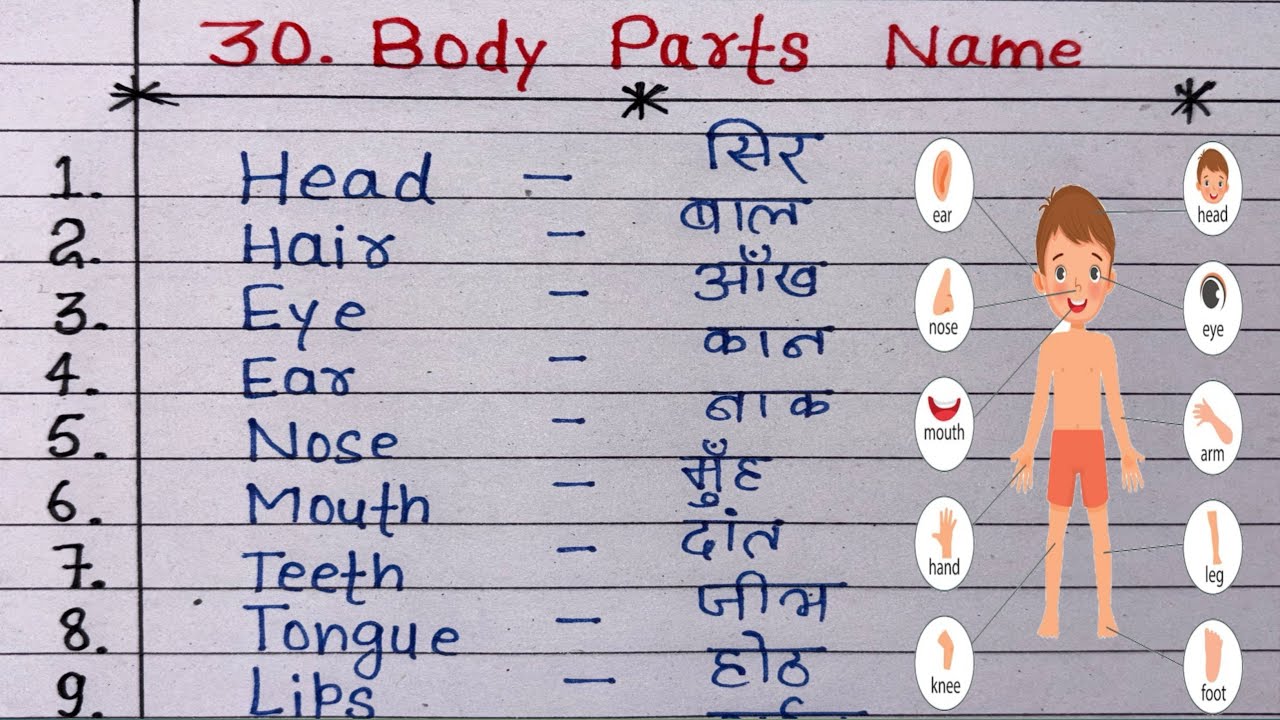 30 Body Parts Name | 30 शरीर के अंगों के नाम | Body Parts Name in Hindi and English | All Body Parts