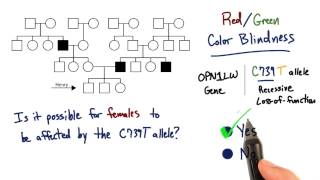 X Chromosome - Tales from the Genome